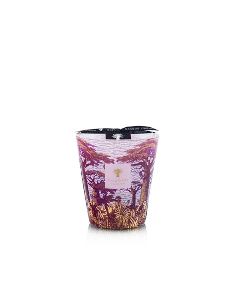 Scented Candle Limited Edition Sacred Trees Massasso Max 16