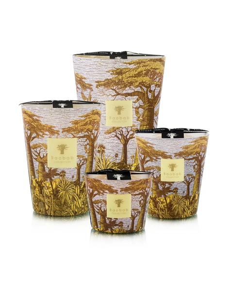 Αρωματικό κερί Sacred Trees Limited Edition Cocody Max 24