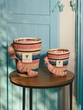 Scented candle Limited Edition Fety Mandihy Max10