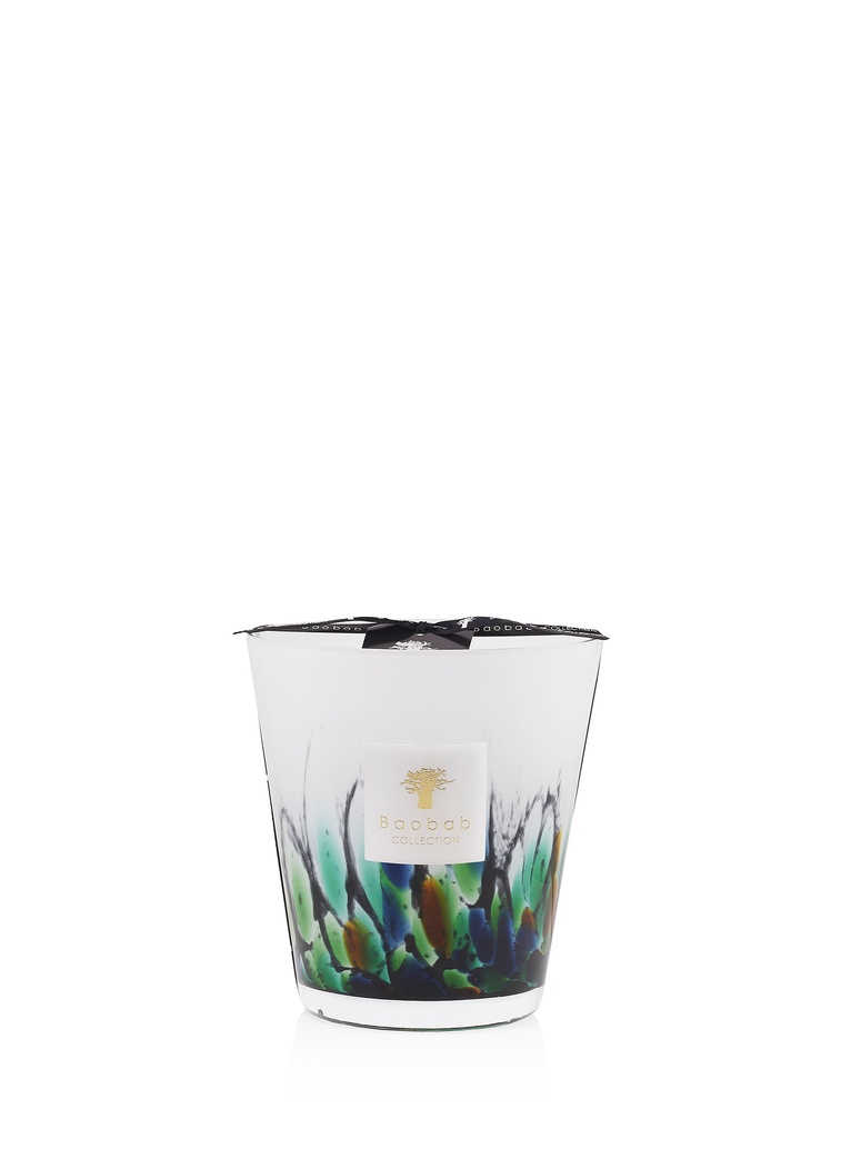 Scented candle Rainforest Amazonia Max 16