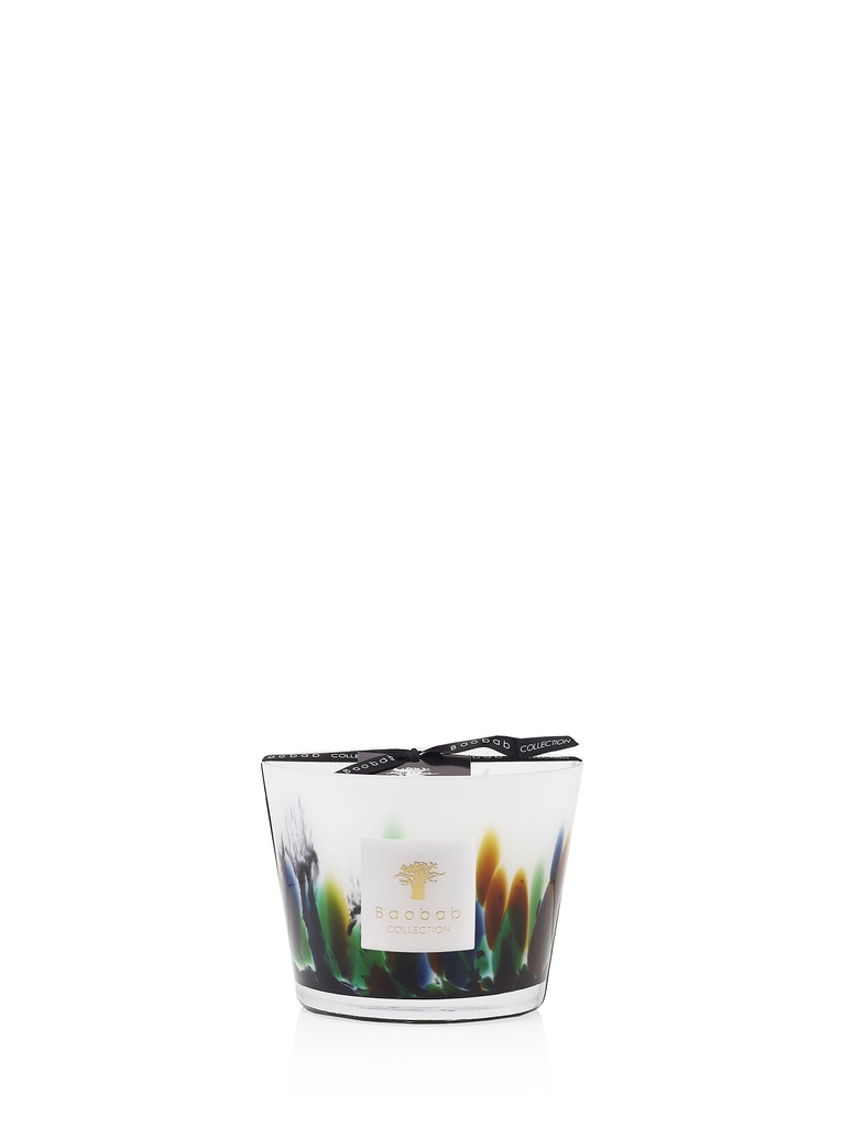 Scented candle Rainforest Amazonia Max 10