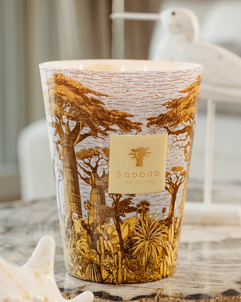 Scented candle Limited Edition Sacred Trees Cocody Max 24