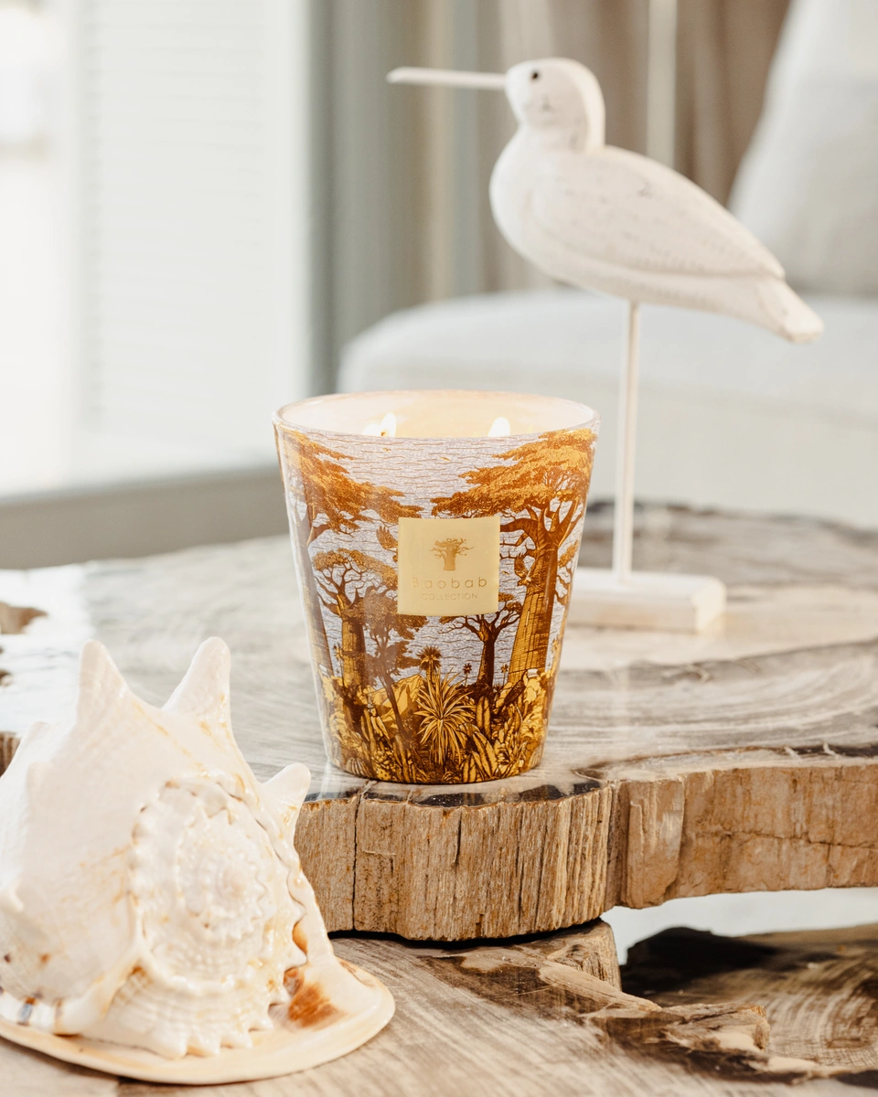 Scented candle Limited Edition Sacred Trees Cocody Max16