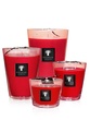 Scented candle All Seasons Maasai Spirit Max 24