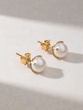 18K Yellow Gold Earrings with Pearls