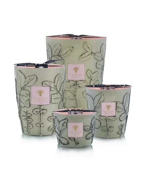 Αρωματικό κερί Limited Edition Folia Maquis Max 10