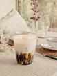 Scented candle Rainforest Mayumbe Max 16