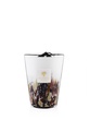 Scented candle Rainforest Tanjung Max 24 - Image 2